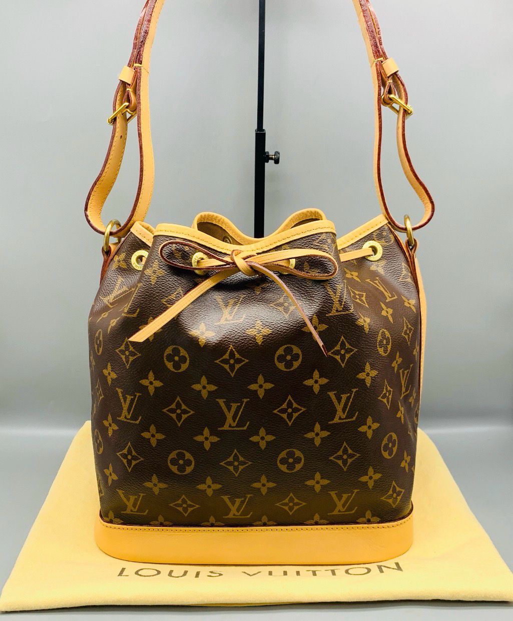 Louis Vuitton Bucket Bag